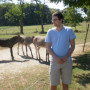 Profile picture of Krisztian