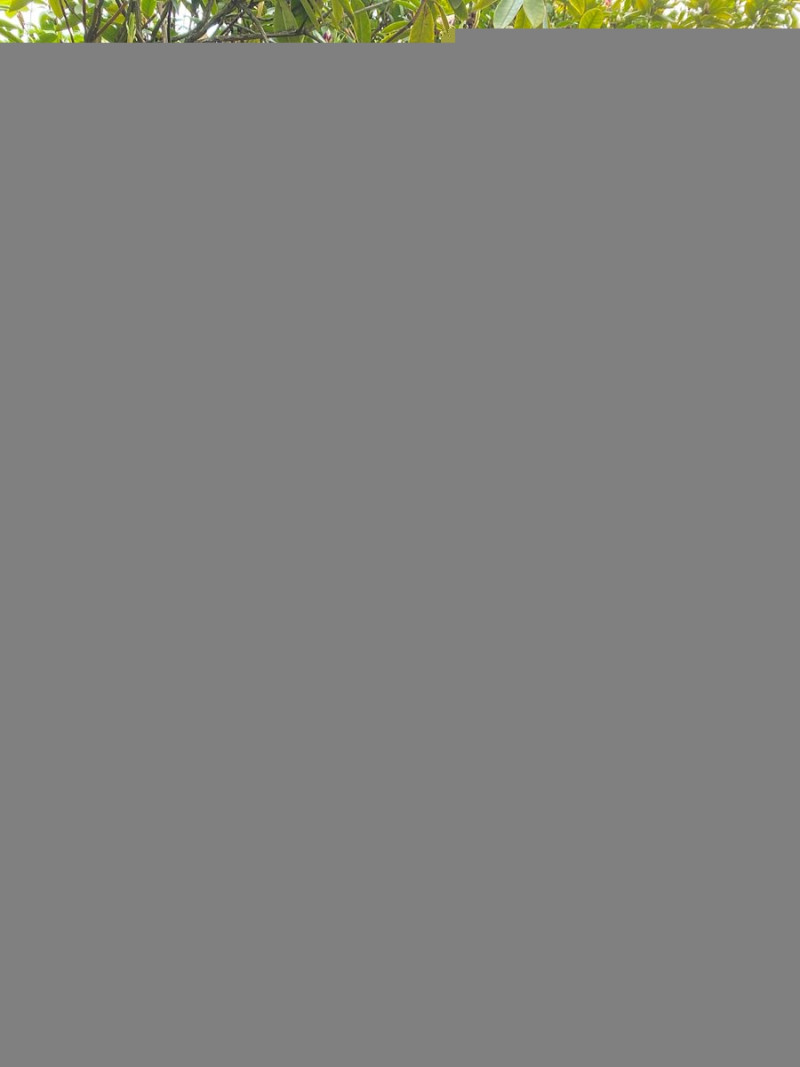 a912ccb1b2c4986b-2