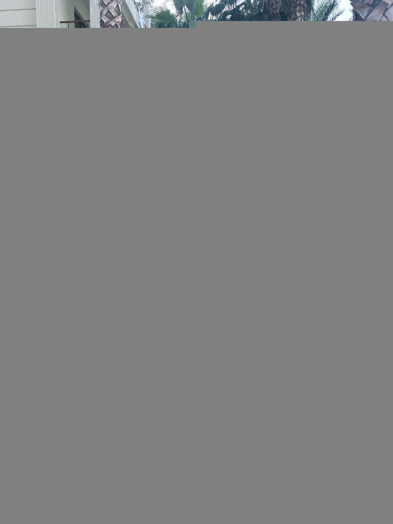 339f0e3b16123afa-2
